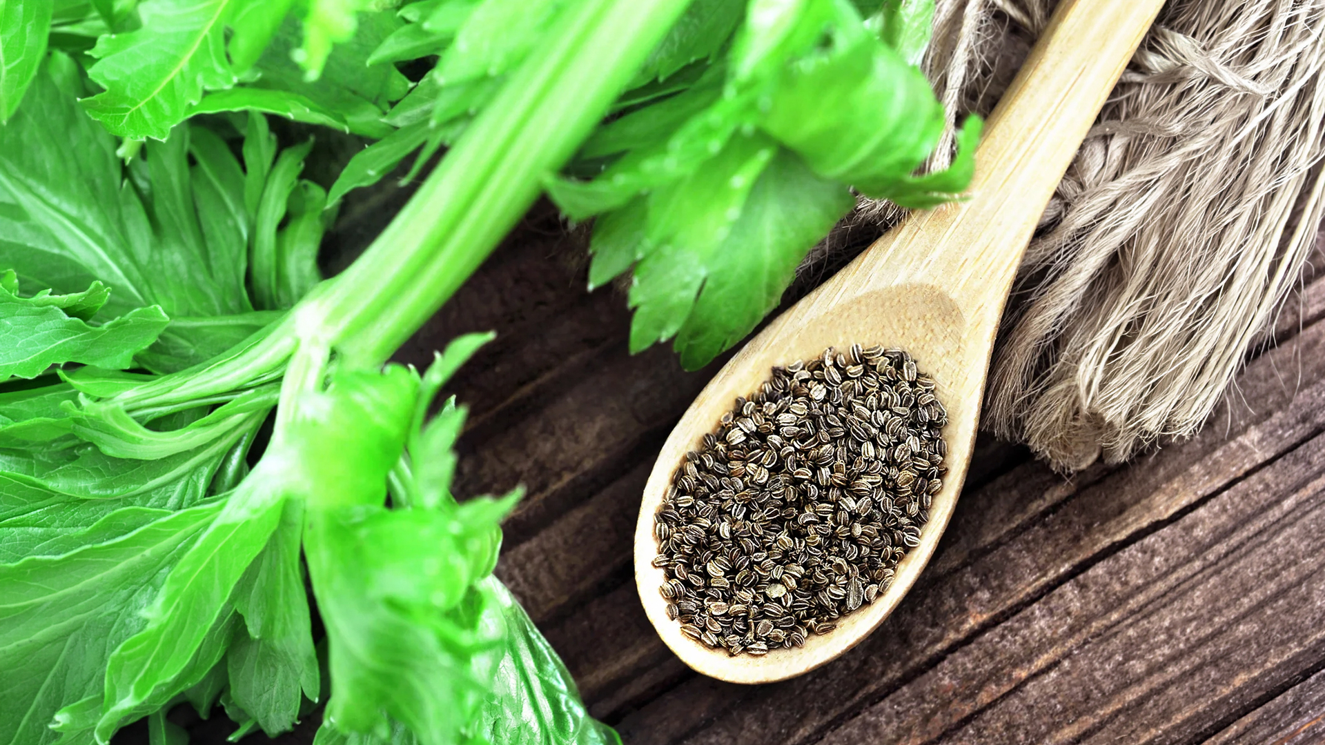 Celery Seed Extract